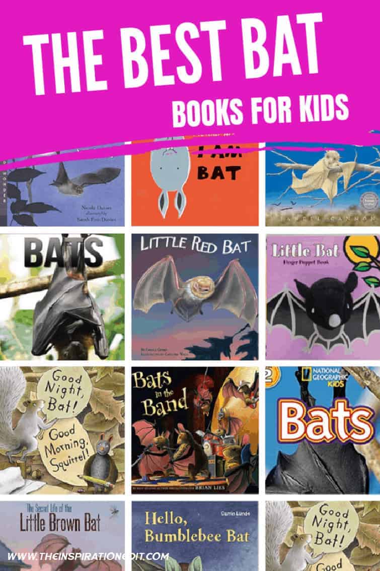 bat stories for preschoolers
