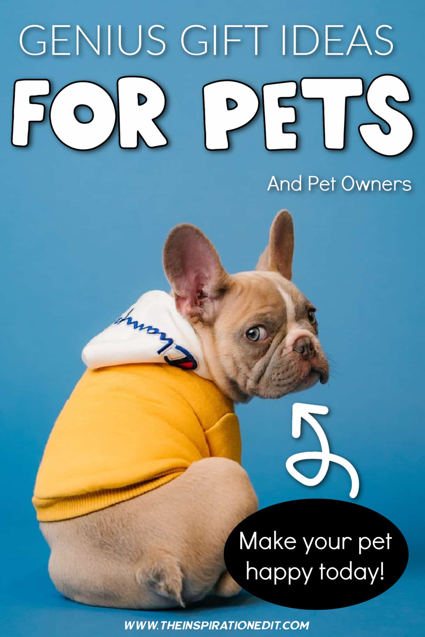 gifts-for-pets-
