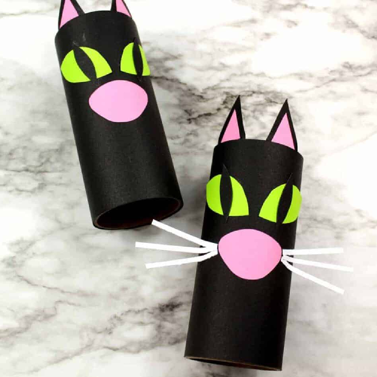 Toilet Roll Black Cat