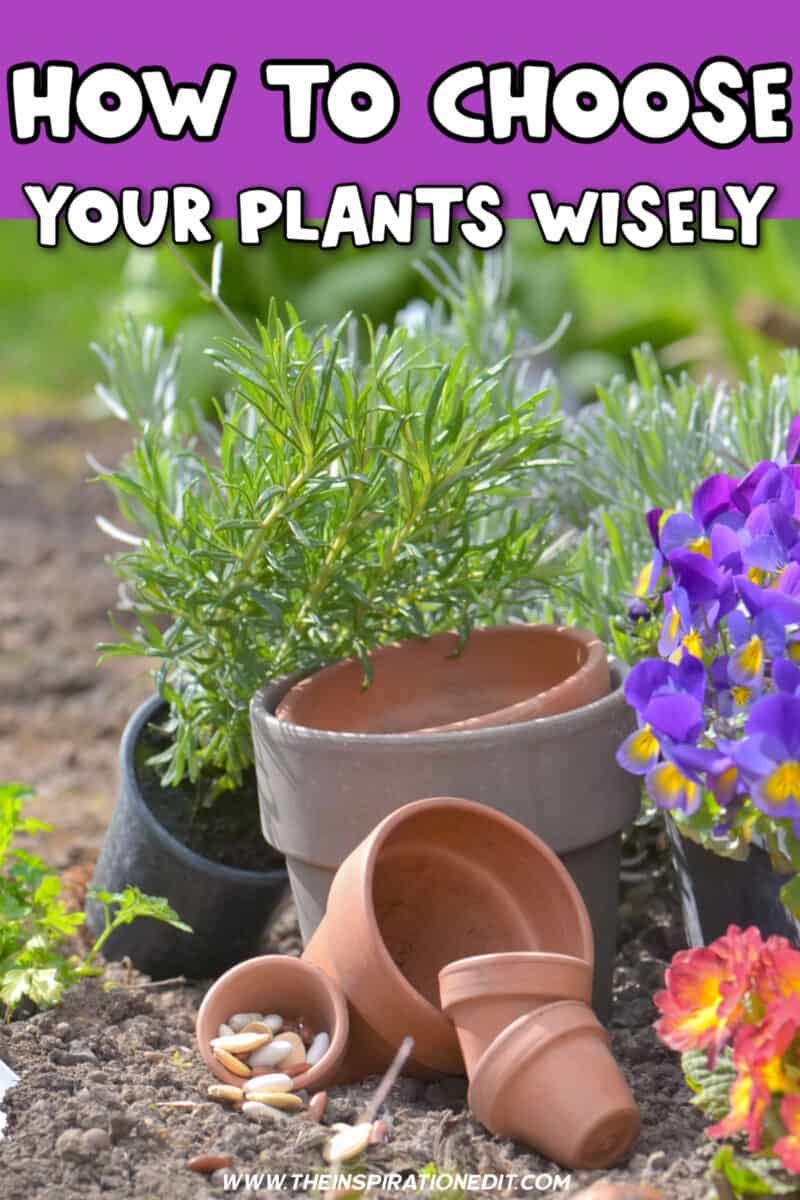 How To Choose Your Plants Wisely · The Inspiration Edit