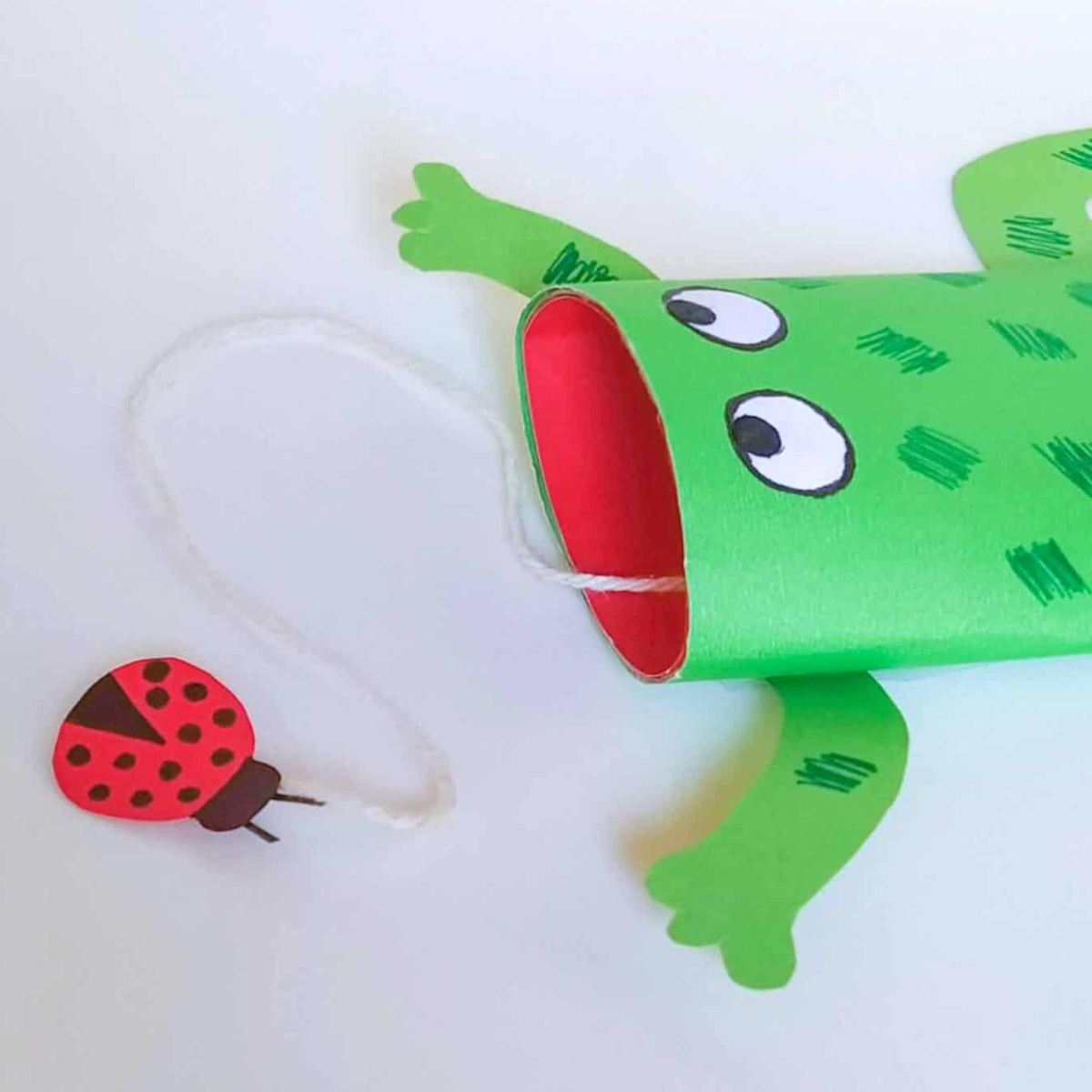 Toilet Tube Frog