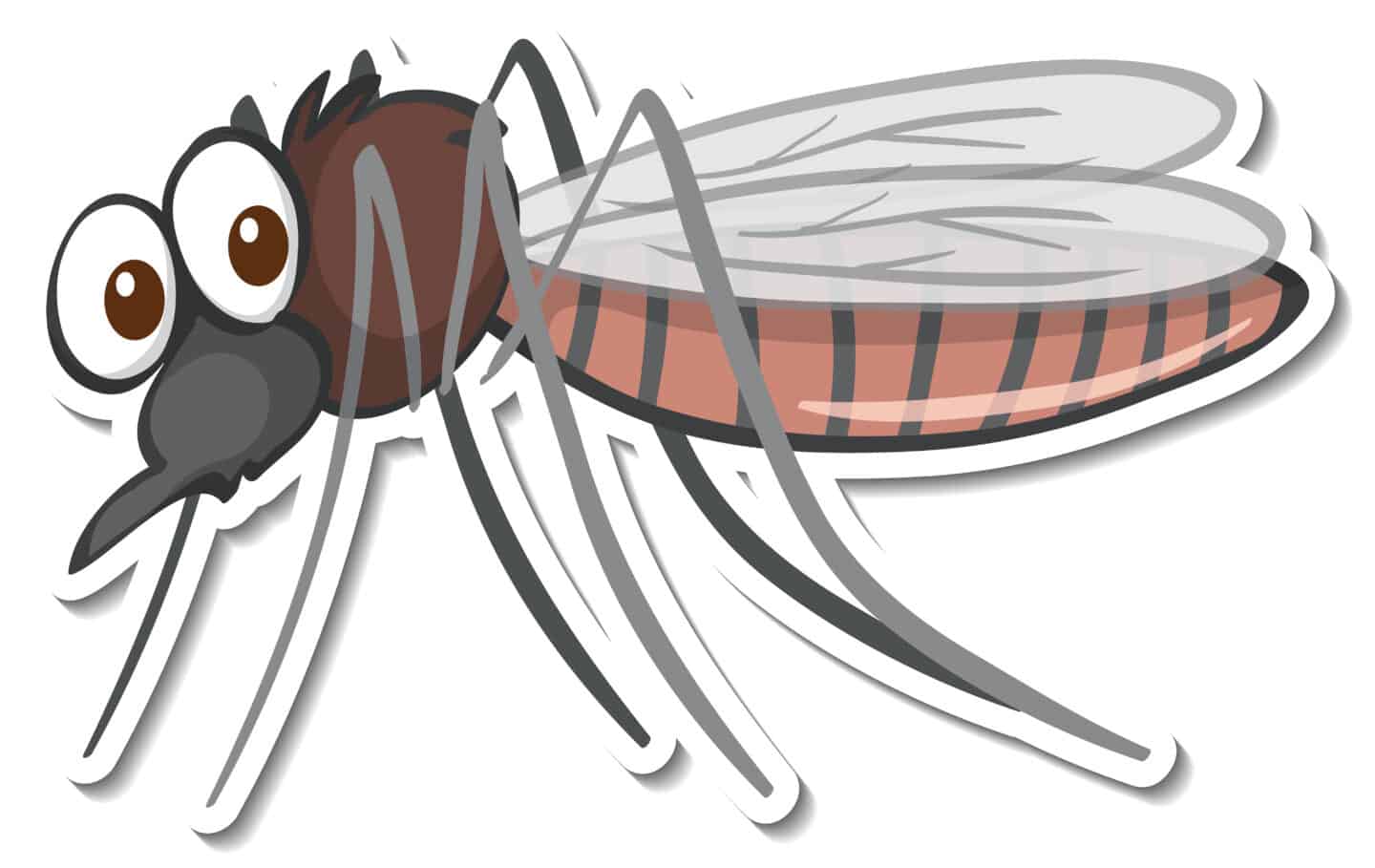 How to Get Rid of Mosquitos