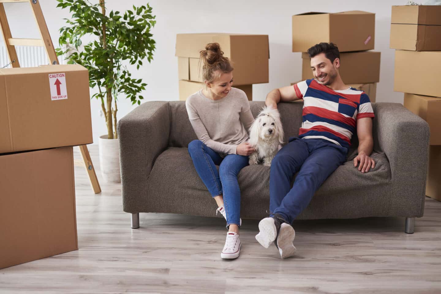 relocating with your pet