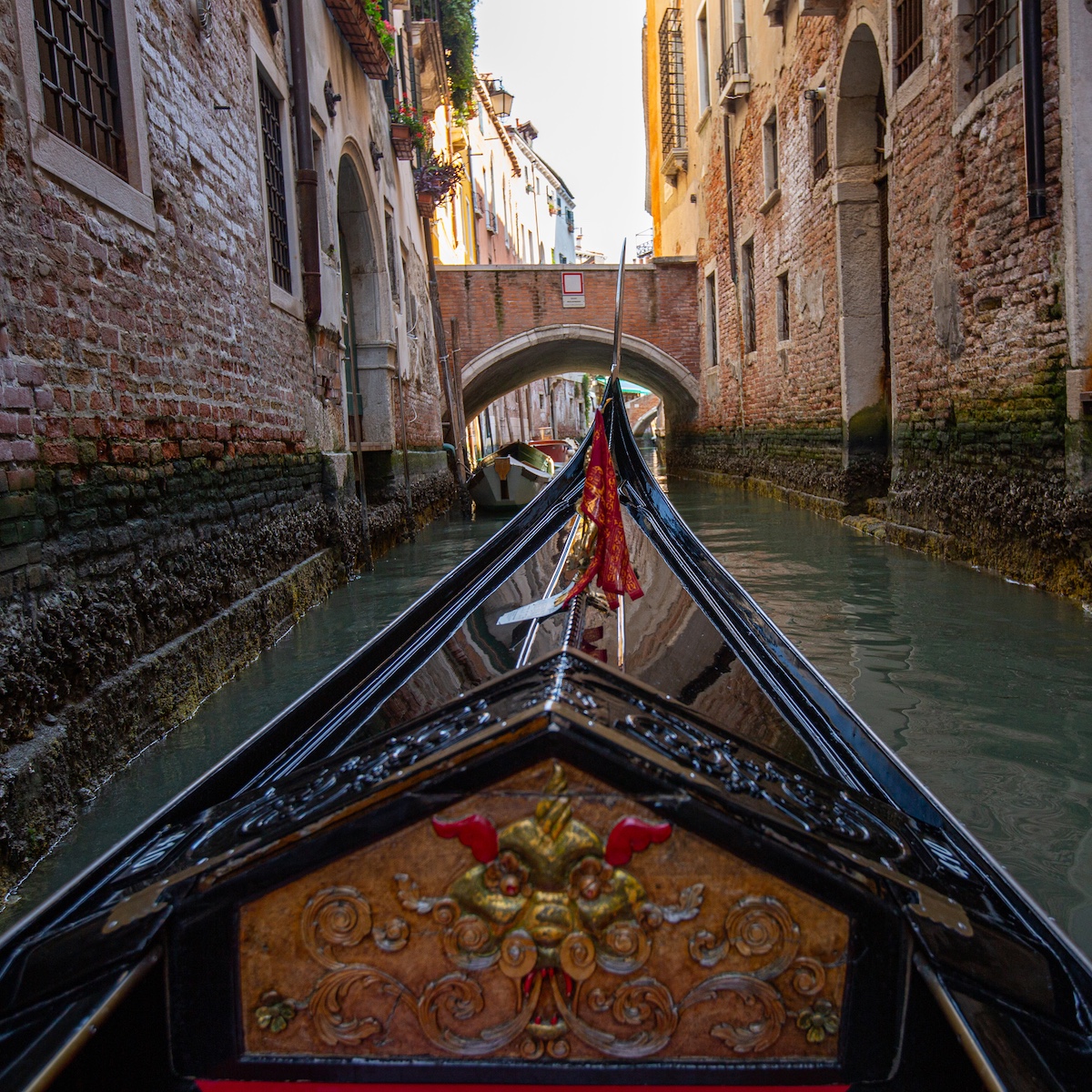 Have Fun In Italy 6 Fun Things to Do in Italy | The Inspiration Edit