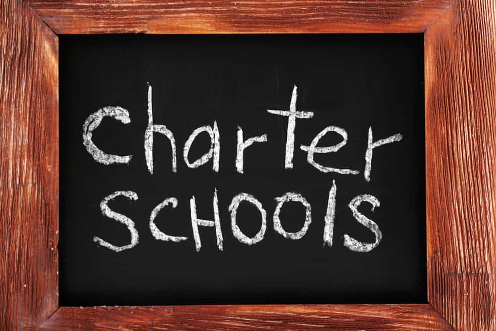 Parents Should Know About Charter Schools