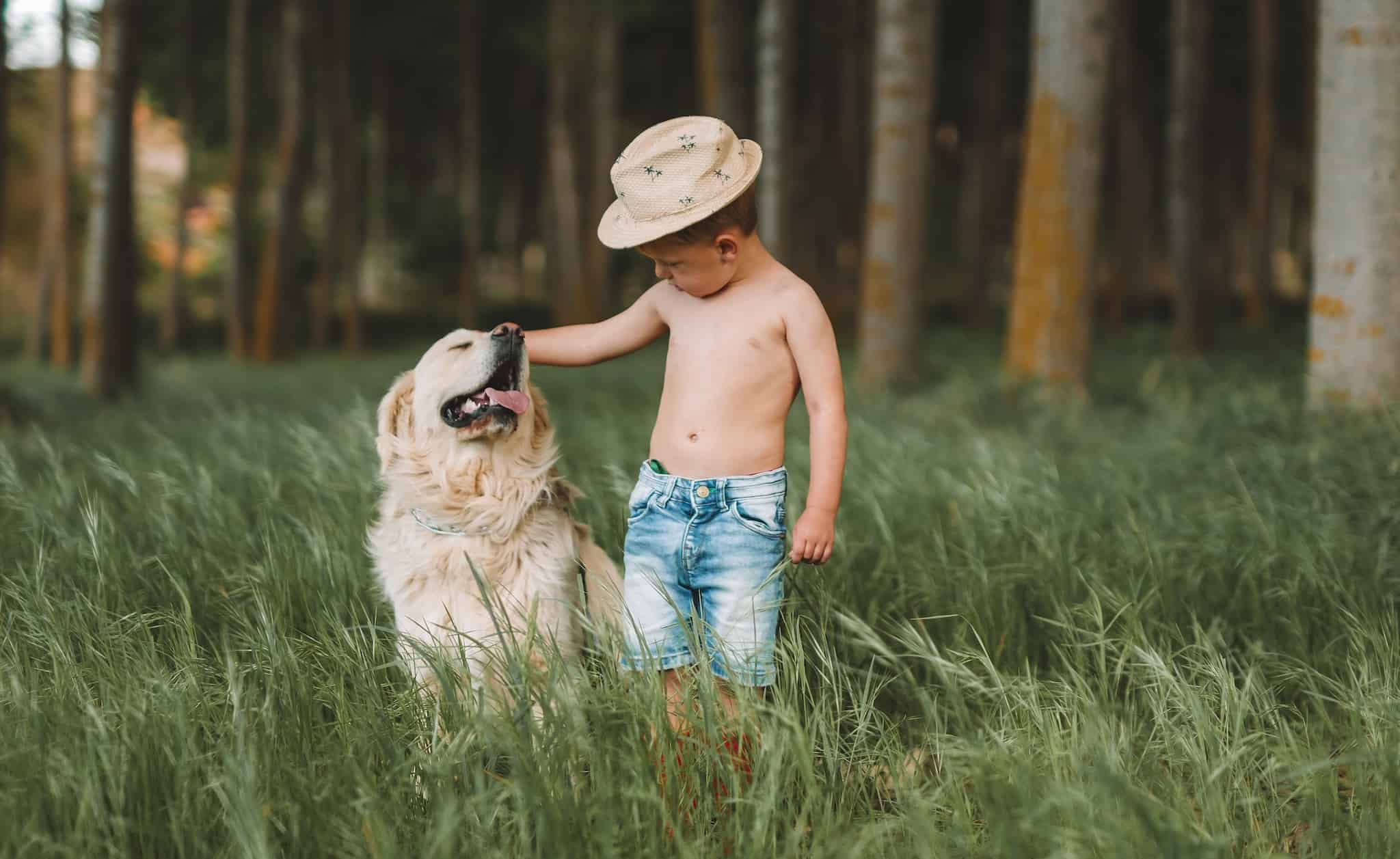 Creative Ways To Teach Your Kids How To Love And Care For Animals · The Inspiration Edit Creative Ways To Teach Your Kids How To Love And Care For Animals · The Inspiration Edit