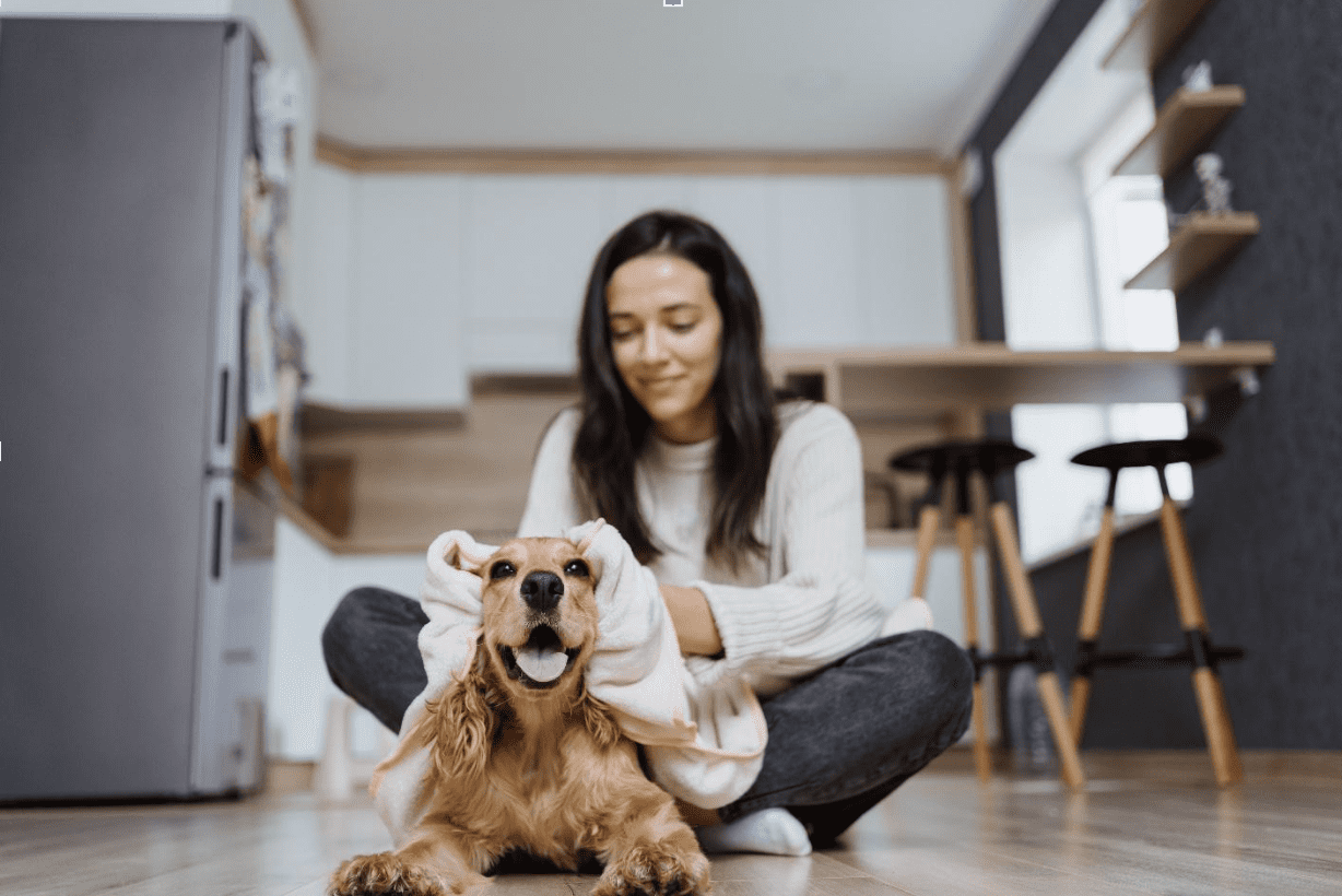 8 Tips And 8 Common Health Problems When Caring For An Elderly Dog 8-tips-and-8-common-health-problems-when-caring-for-an-elderly-dog