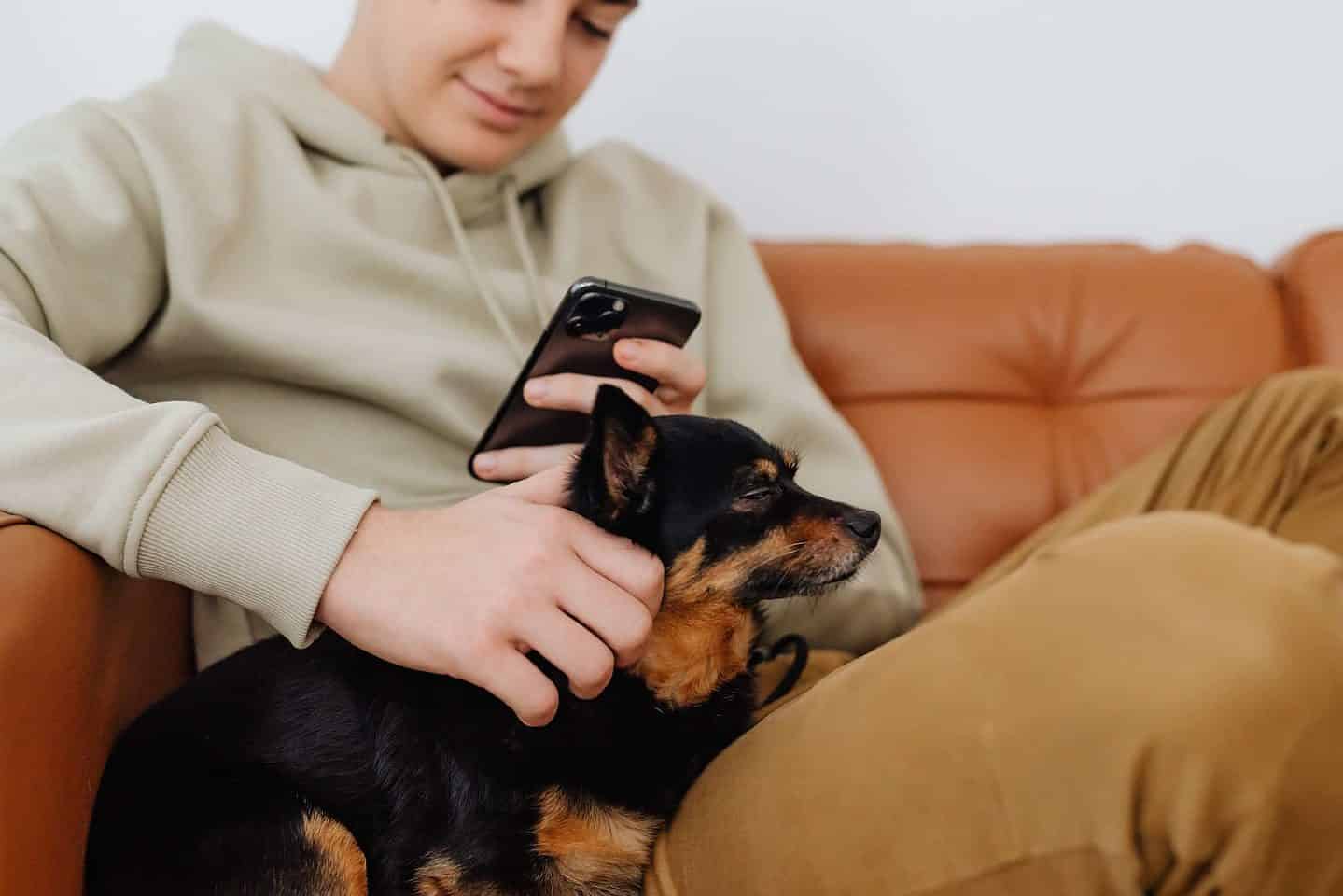 Why Pets And Teenagers Go Together