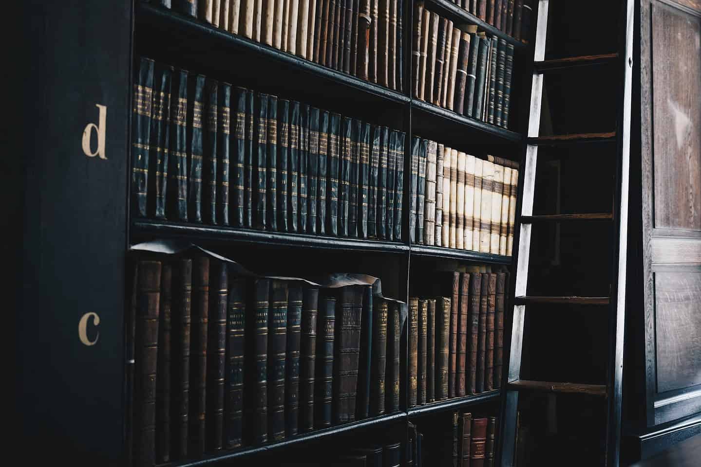 Building a Case Against an Unfit Parent