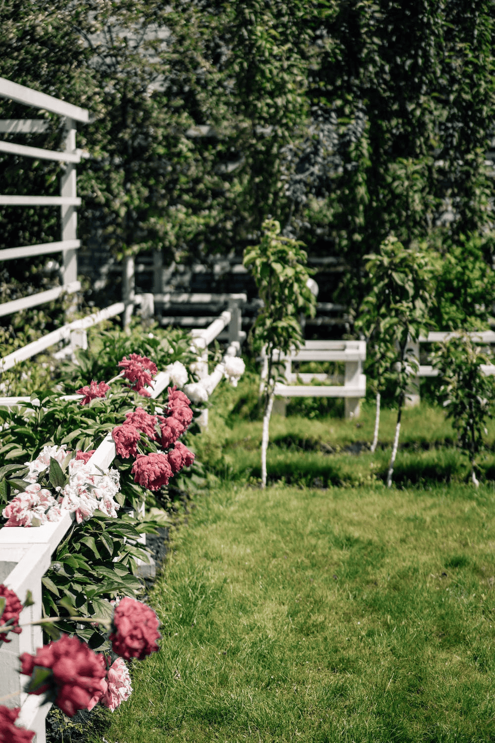 CHEER UP YOUT GARDEN