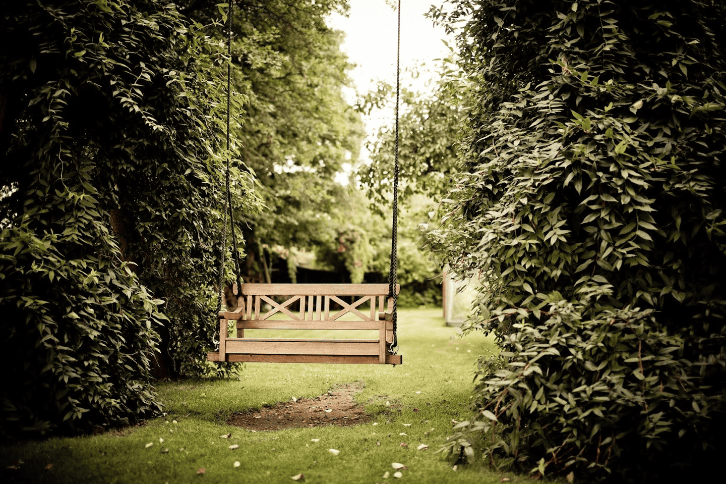CHEER UP YOUT GARDEN