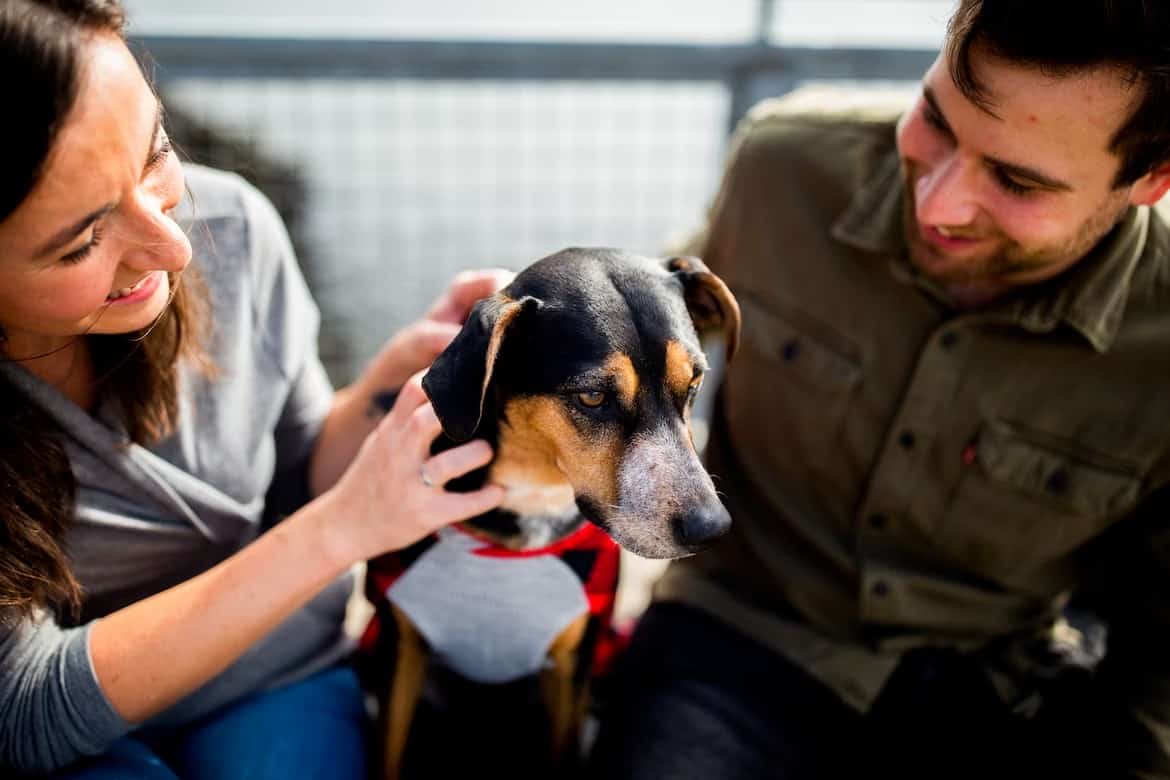 Couple Petting a Dog.