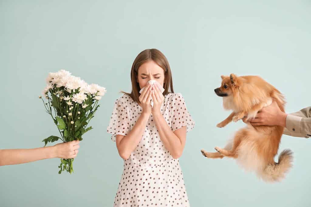 Things That Can Trigger Allergy.