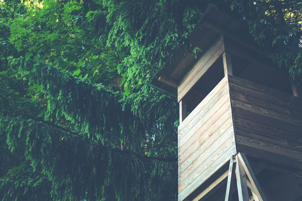 Build The Perfect Treehouse.