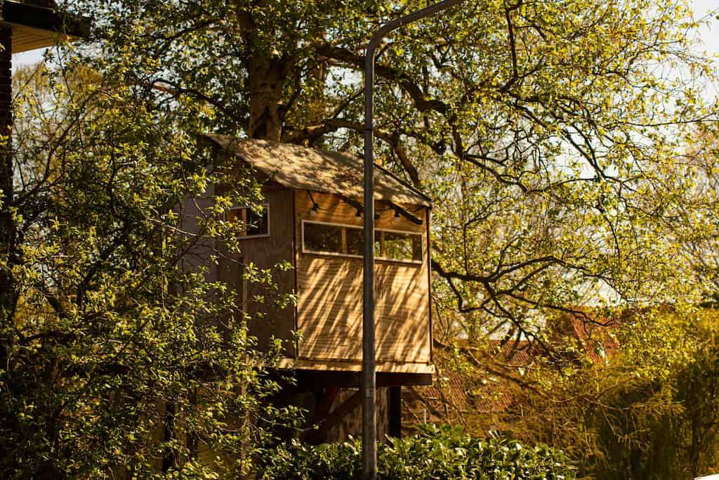 Build The Perfect Treehouse.
