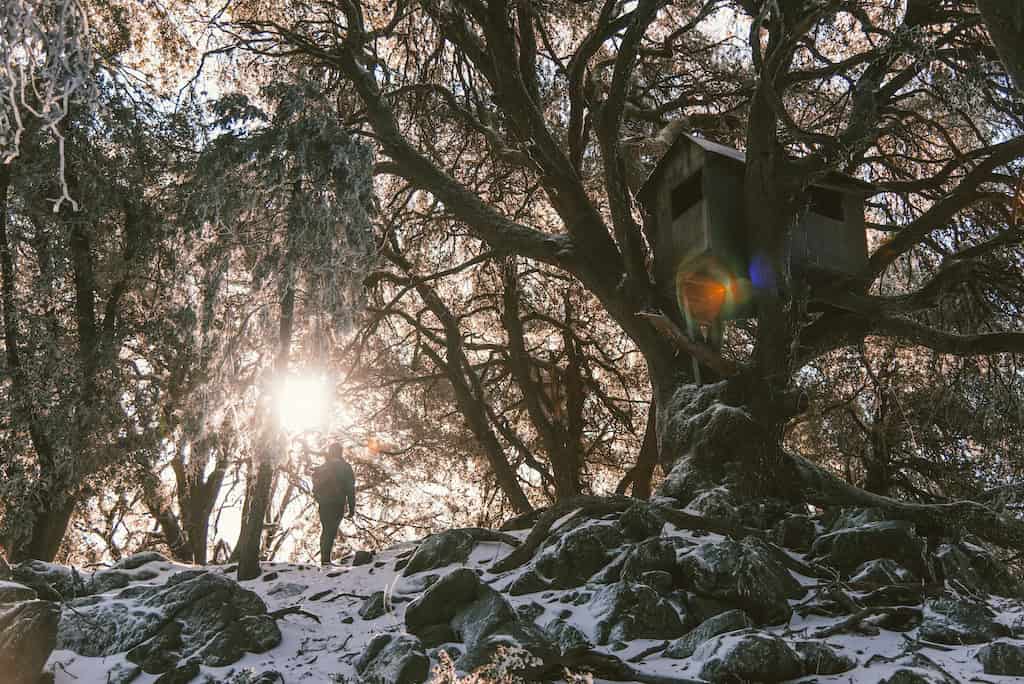 Build The Perfect Treehouse.