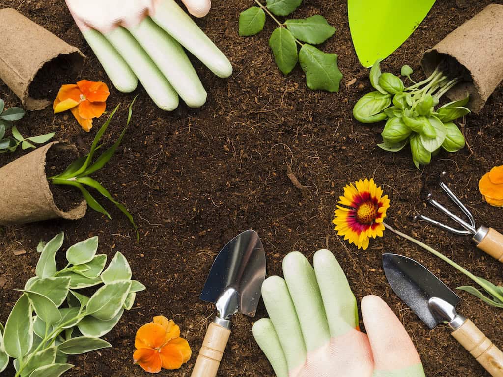 Garden Maintenance.