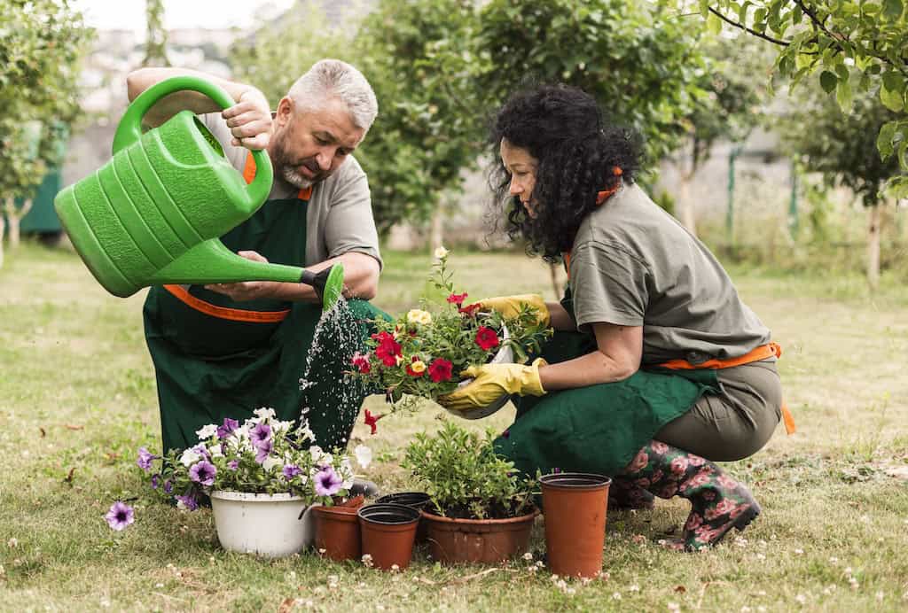 Garden Maintenance.