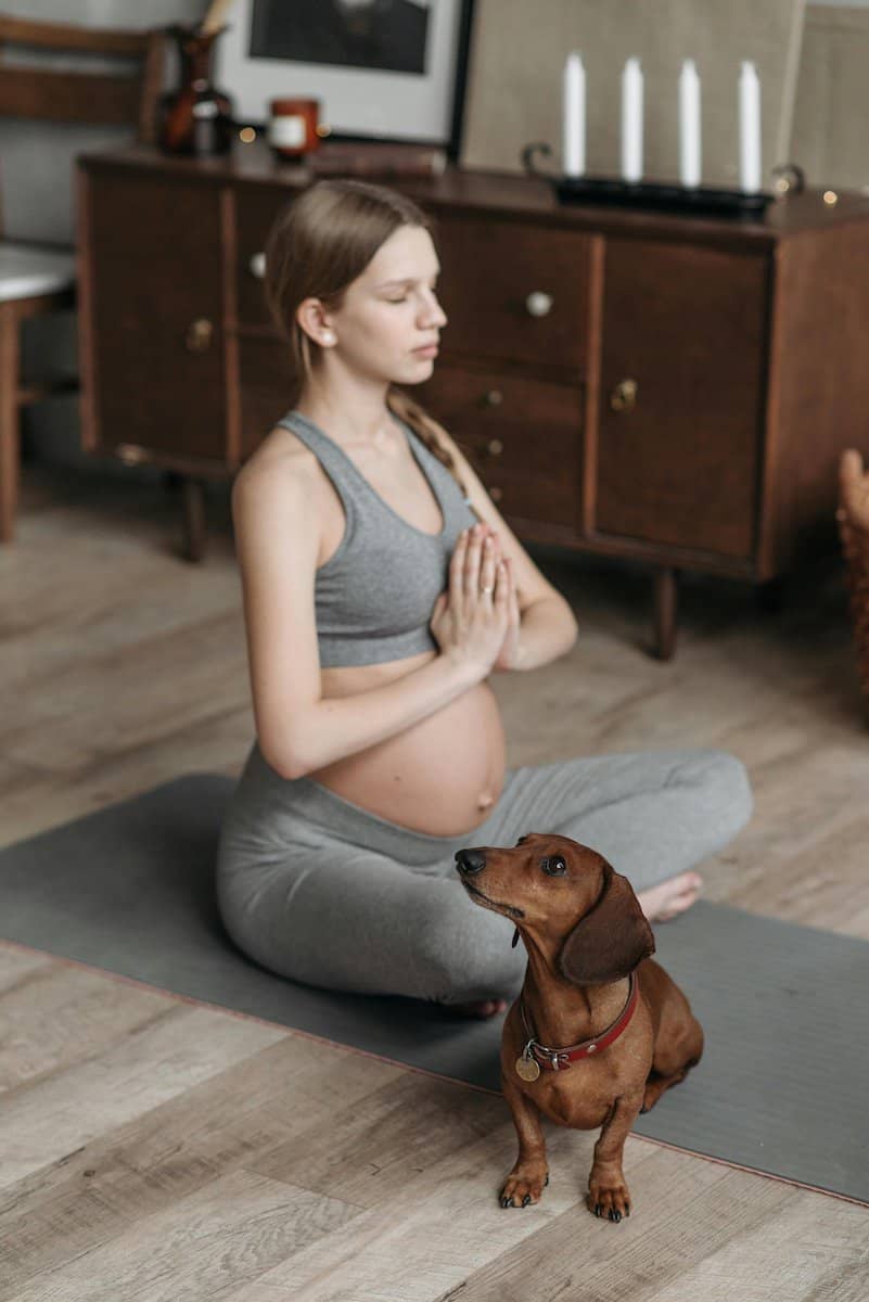Caring for Your Pet’s Well-Being | Dog sitting lovingly next to its mom.