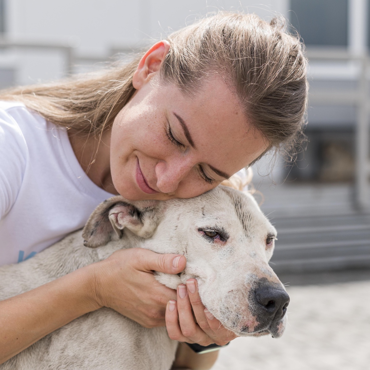 Supportive Animals Types of Emotional Support Animals | The Inspiration Edit