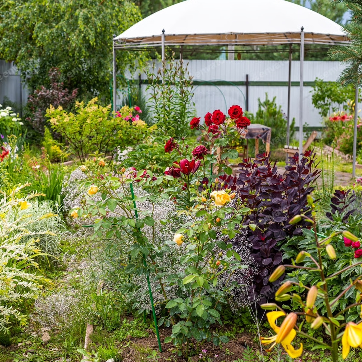How Do I Plan My Garden Layout? A Simple Guide to Starting from Scratch ...