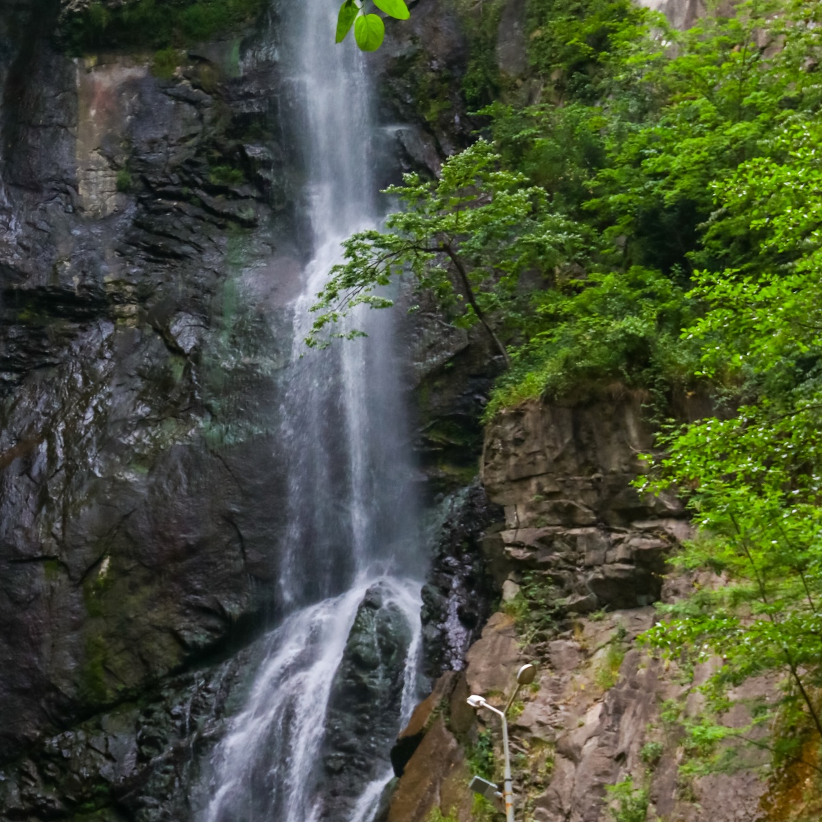 7 Waterfalls Near Blue Ridge, Georgia, Worth Hiking to on a Family ...